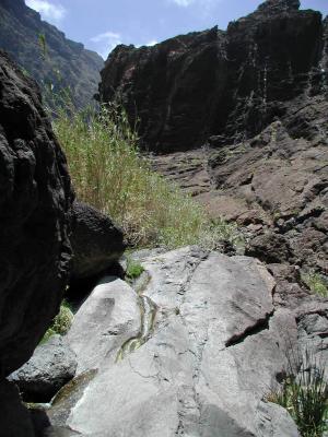 Colorado1