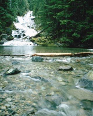 Fraser-River-3