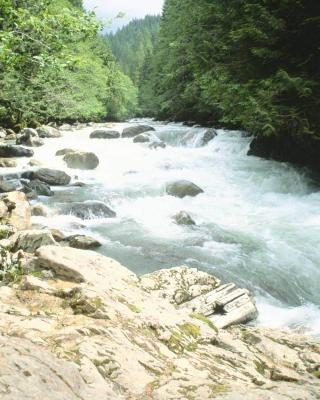 Fraser-River