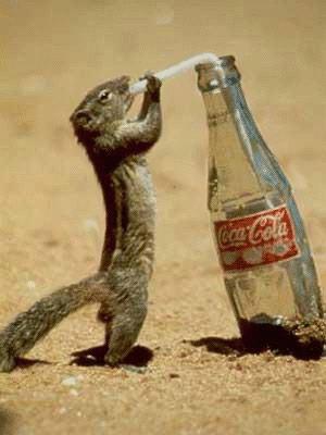 Coca Cola