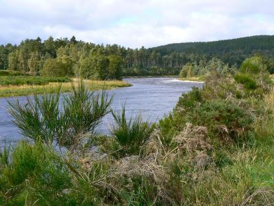 Fluss