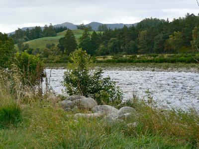 Wasser