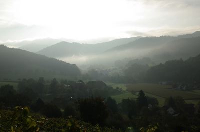 Nebel durch die Sonne