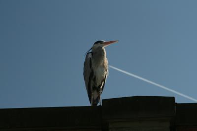 IMG_1362