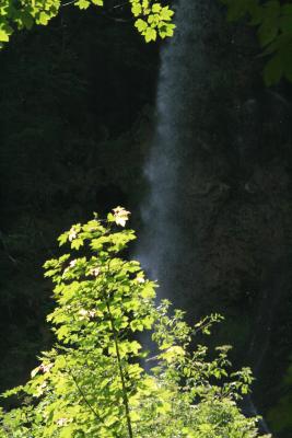 IMG_2510