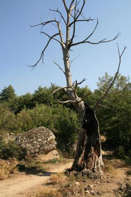 Korsika-2-017
