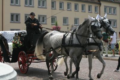 Suedtirol-2009-083