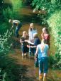 erlebenfluss