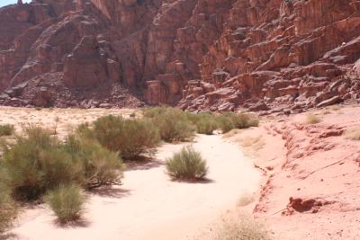 wadi rum