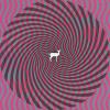 Deerhunter: Cryptograms