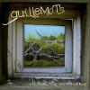 Guillemots: Through The Windowpane