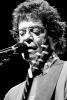 Lou Reed Lou Reed