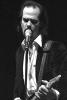 Nick Cave