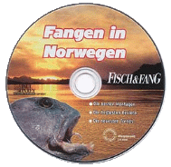 disk