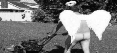 gardenangel