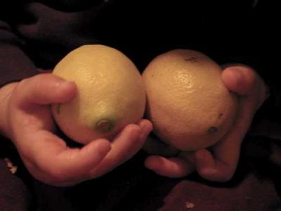 lemon