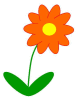 blume2