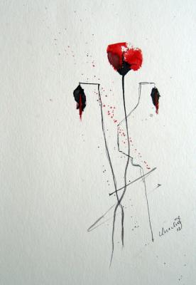 02-mohn-domina-f24x32-ger