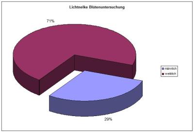 lichtnelke-buetenuntersuchung-2012