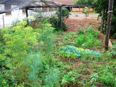 Mama-s-Kraeutergarten