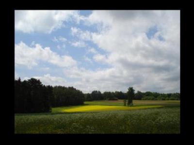 land1