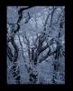 schnee
