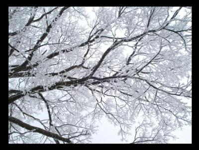 winter