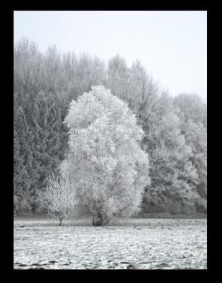 winter12