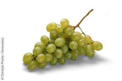 Weniger Gift in Trauben Weniger Gift in Trauben