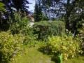 Garten in Linz Garten in Linz