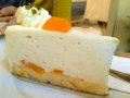 Torte in Gregors Konditorei Torte in Gregors Konditorei
