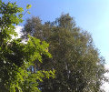 20140824_002