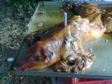 bild009