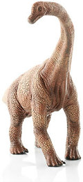 Brachiosaurus Brachiosaurus