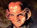 Manager sind Ferengi