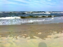 foto0005_q1