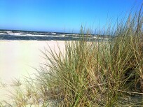 foto0014_q1