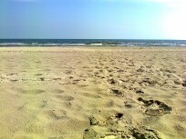 foto0016_q1