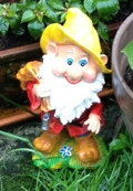 Gartenzwerg Gartenzwerg