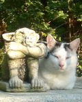 Katze im Garten bei Agnes Katze im Garten bei Agnes