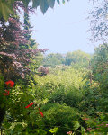 Blick von der Terrasse Blick von der Terrasse