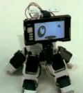 Nokia 770 als Hunde-Roboter