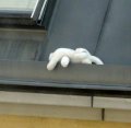 Hase in der Dachrinne