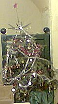 Christbaum beim Wienerwald in der Mariahilfer Straße Christbaum beim Wienerwald in der Mariahilfer Straße