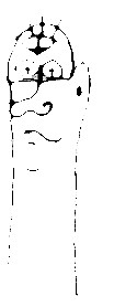 hissfinger