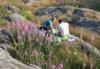 Von Wildblumen bewachsene Felsen im Brunnenpark, die zum Verweilen einladen.