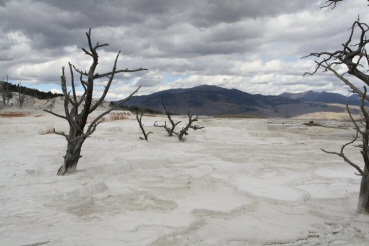 Yellowstone Nationalpark.