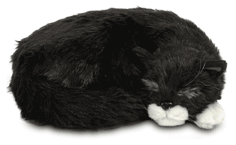 BRECAT_lg