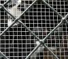 hinter Gittern