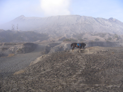 Am Fuß des Bromo.